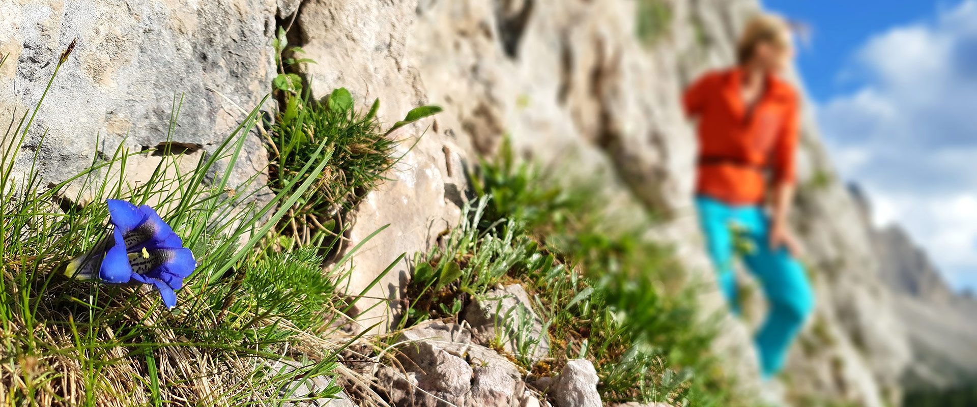 GardenaGuides Dolomiti