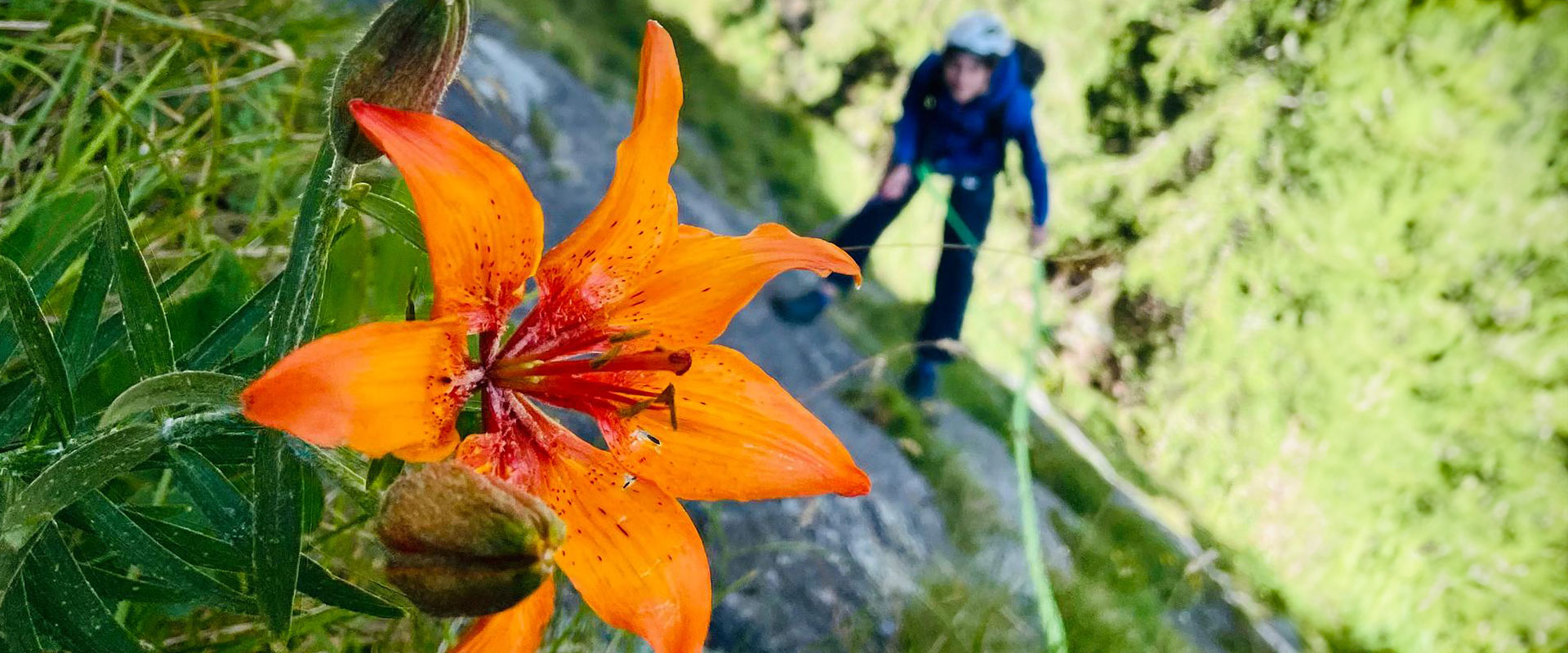 GardenaGuides Dolomiten