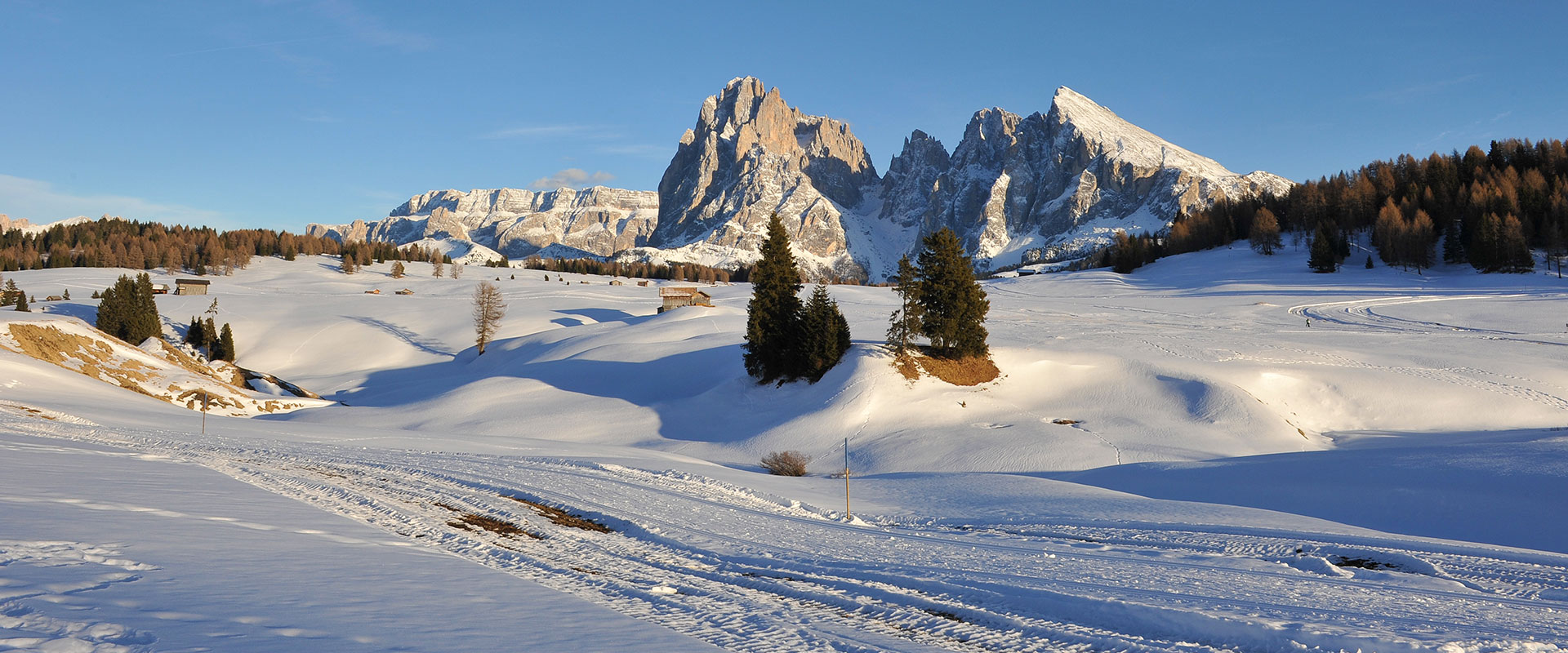 GardenaGuides Dolomiti