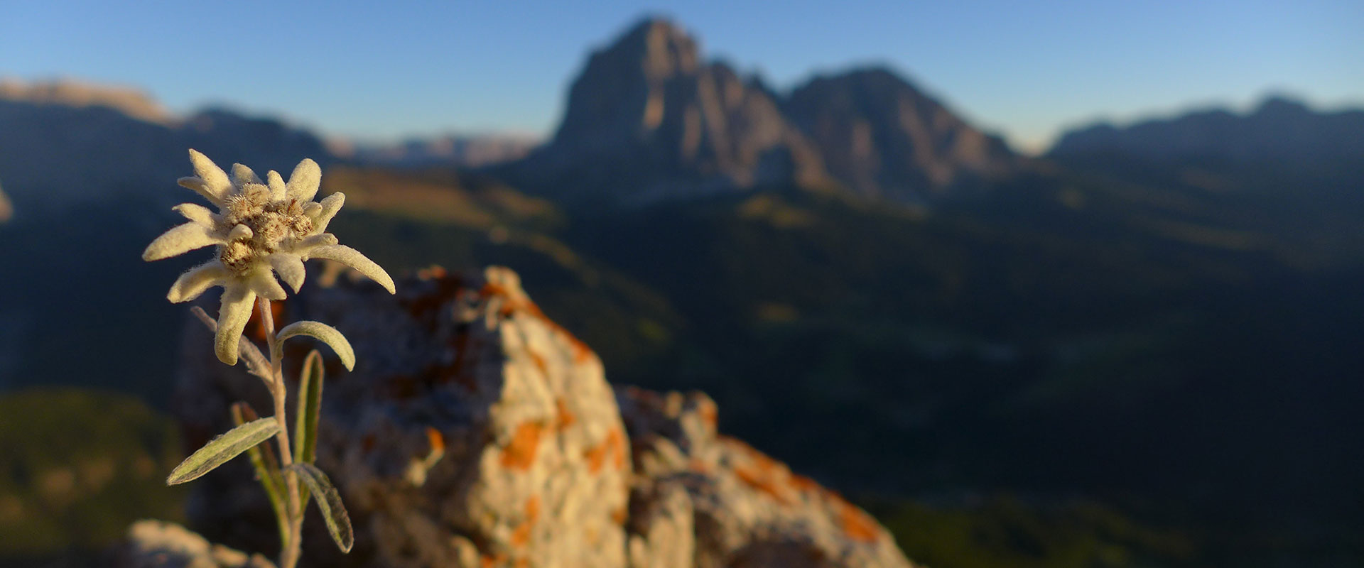 GardenaGuides Dolomites